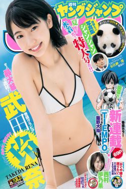 国产瓷砖一线二线三线品牌有哪些