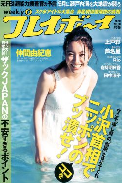一念向北 电视剧